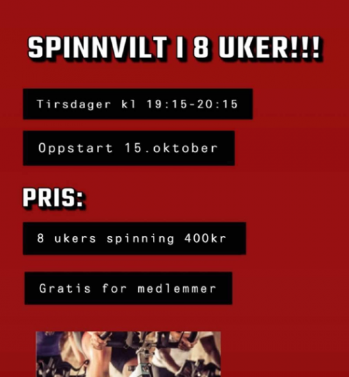 Spinnvilt